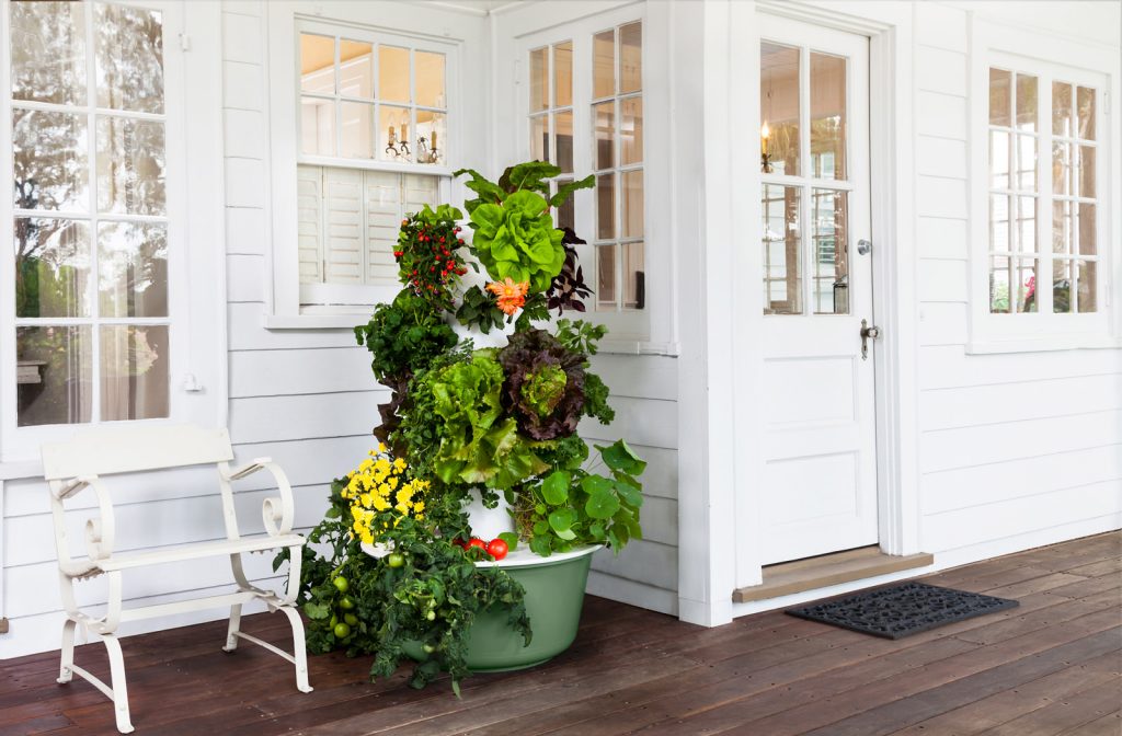 Tower Garden Ireland & UK Elevate Your Home Gardening